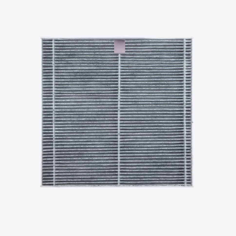 Filtro ai Carboni Attivi Originale per Aspiratore Professionale MUSSON X3
