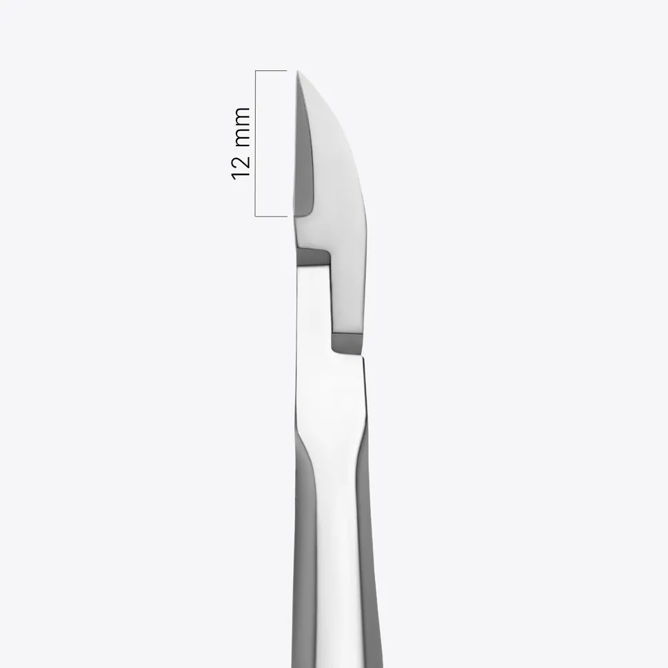 Pince à ongles professionnelle PNF 60/12 mm — Photo 1